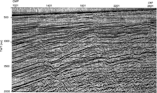 Seismic Reflection Profile