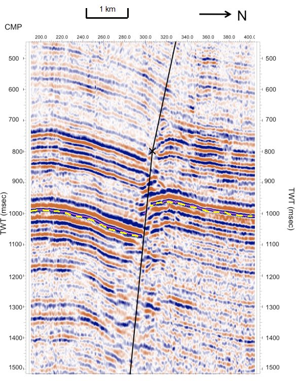 Seismic profile with fault